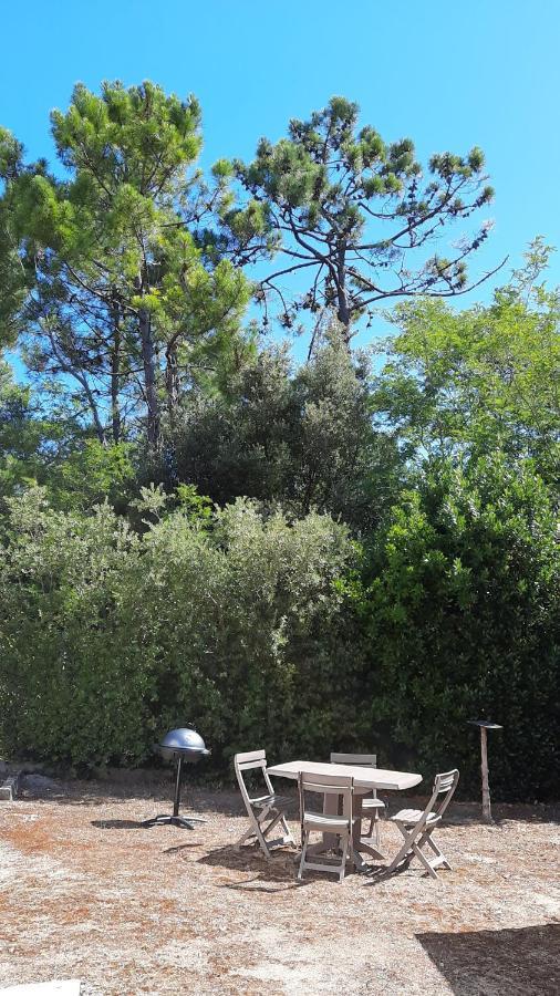 La Foret Des Rossignols - Maison 2 Chambres, Jardin Et Terrasse Saint-Jean-de-Monts Kültér fotó