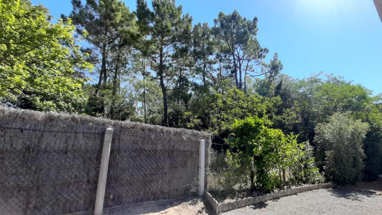 La Foret Des Rossignols - Maison 2 Chambres, Jardin Et Terrasse Saint-Jean-de-Monts Kültér fotó